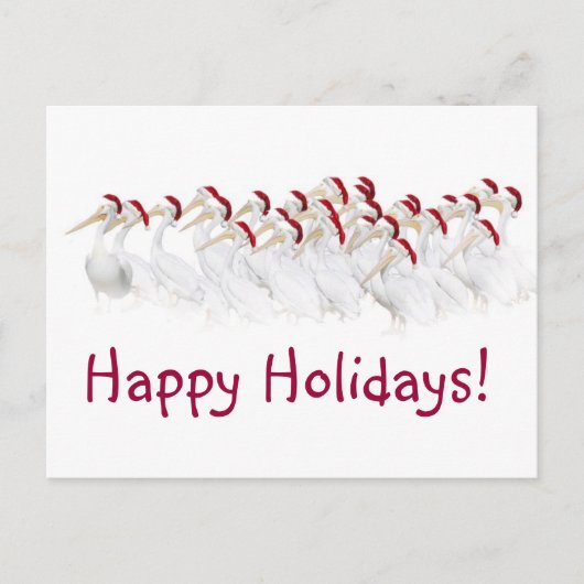 De Briefkaarten van de pelikaan prettige (Voorkant)