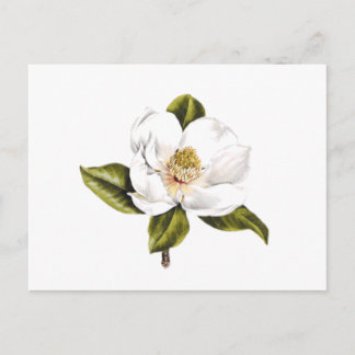 De Briefkaarten van de Verandering van het adres -