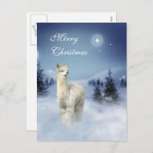 De Briefkaarten van Kerstmis van de Nacht van de (Voorkant / Achterkant)