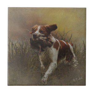 De Brittany spaniel Ceramic Tegel Tegeltje