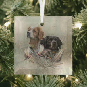 De Brittany Spaniels, Franse Brittany, Vogelhond, Glas Ornament