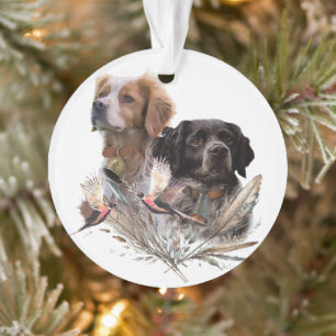 De Brittany Spaniels, Franse Brittany, Vogelhond, Ornament