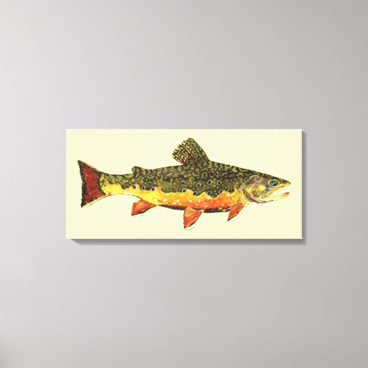 De Brook-forel Canvas Afdruk (Voorkant)