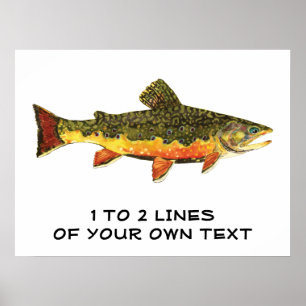 De Brook-forel Poster