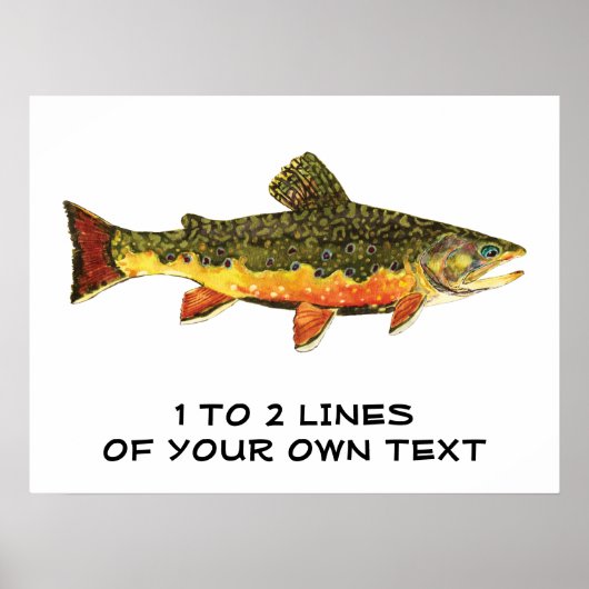 De Brook-forel Poster (Voorkant)