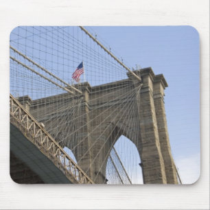De Brooklyn Bridge in New York City, New Muismat
