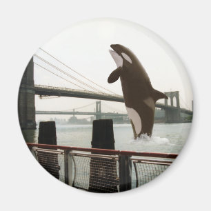 De Brooklyn Bridge Magnet pompen Magneet
