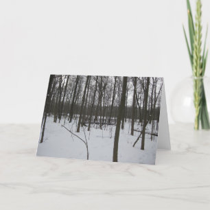 De brug in sneeuw feestdagen kaart