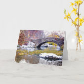 De Brug van Gapstow - Central Park, de Stad van Kaart (Gele Bloem)