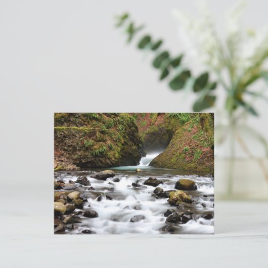 De bruidssluier valt het Briefkaart van de (Staand voorkant)