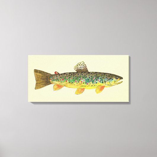 De bruine forel canvas afdruk (Voorkant)