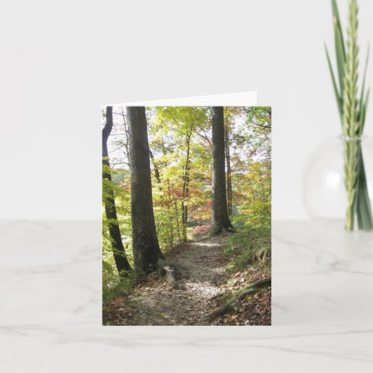 De bruine Kaart van de Nota van de Provincie (Voorkant)