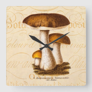De Bruine Paddestoelen van vintage Scaber van de Vierkante Klok