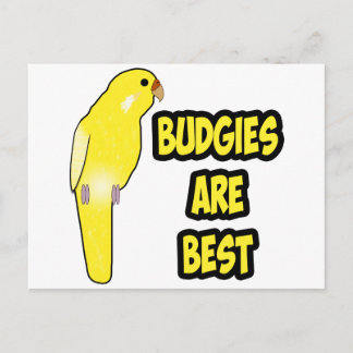 De budgetten zijn het beste briefkaart
