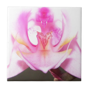 de buitenkant van de binnenkant van een orchidee tegeltje