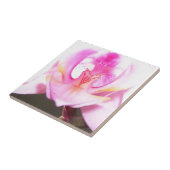 de buitenkant van de binnenkant van een orchidee tegeltje (Zijkant)