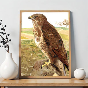 De Buizerd Poster