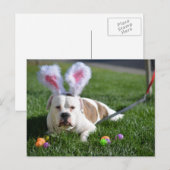 De Buldog van de Vallei van Pasen Feestdagenkaart (Voorkant / Achterkant)