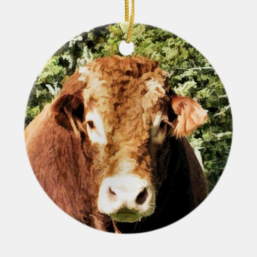 DE BULL KERAMISCH ORNAMENT (Voorkant)