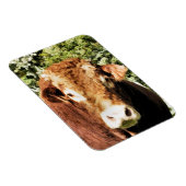 DE BULL MAGNEET (Rechterzijde)