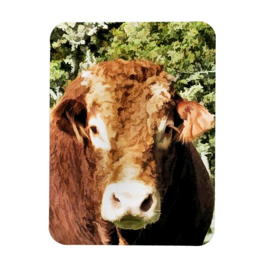 DE BULL MAGNEET (Verticaal)