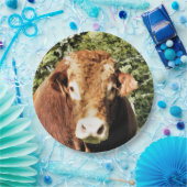 DE BULL PAPIEREN BORDJE (Feest)