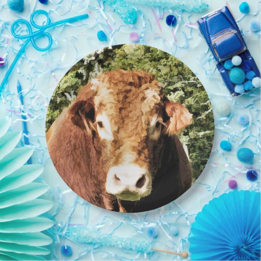 DE BULL PAPIEREN BORDJE (Feest)