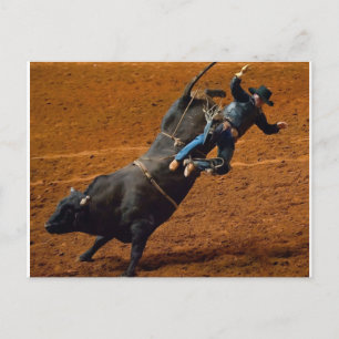 De bull Rider Briefkaart