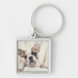 De Bulldog, vaak de Engelse Bulldog, 2 Sleutelhanger