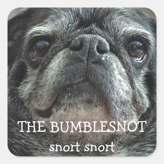 De Bumbles niet "snort snort" stickers (Voorkant)