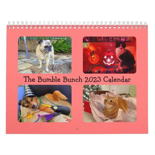 De bunch 2023-agenda kalender (Hoes)