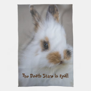 De 'BUNNY Death Stare' is echt! Eigen foto toevoeg Theedoek