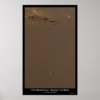 De Bunny op Mars â€"Wat is het? Poster