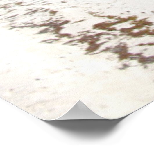 De burgemeester ruikt naar het strand in Tulum Poster (Hoek)