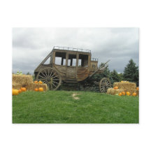 De Bus van het stadium