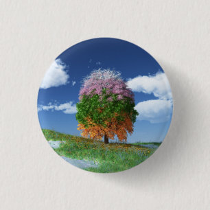 De Button Seizoenboom