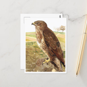De buzzard briefkaart