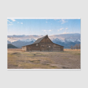 De cabine stopt zijn Pet-weefselpapier Tissuepapier