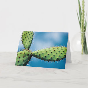 De Cactus van Prickley Kaart