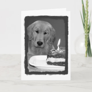 De Cake van de verjaardag wacht Kaart