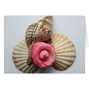 De Camellia en de Shells