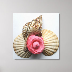 De Camellia en de Shells Canvas Afdruk