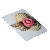 De Camellia en de Shells Magneet (Rechterzijde)