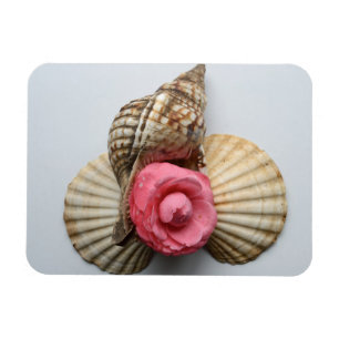 De Camellia en de Shells Magneet