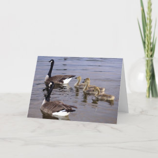 De Canadese Familie van de Gans Kaart
