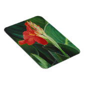 De Canna - Magneet (Rechterzijde)