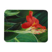 De Canna - Magneet (Horizontaal)