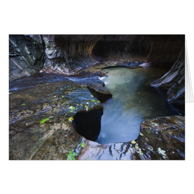 De canyon van de groef van de Subway (Voorkant Horizontaal)