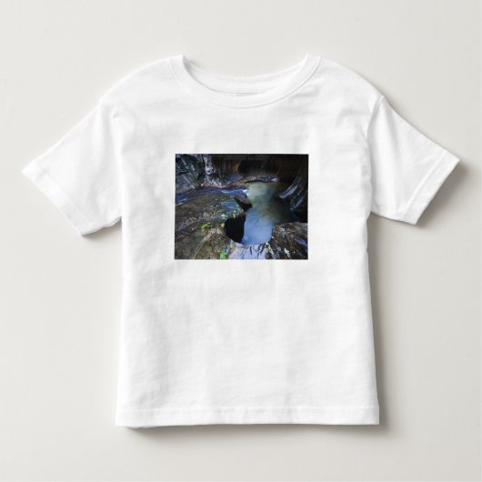 De canyon van de groef van de Subway Kinder Shirts (Voorkant)