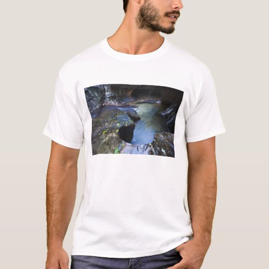 De canyon van de groef van de Subway T-shirt (Voorkant)